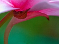 IMG_5064.CR2