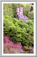 Die Schadeck (Schwalbennest) castle in Neckarsteinach
