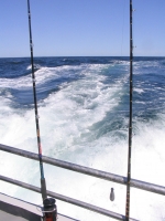 IMG_1835.JPG