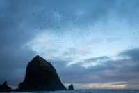 Haystack Rock, Cannon Beach OR