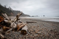 Indian Beach, Ecola State Park, Cannon Beach OR