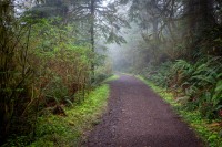Hiking the Clatsop Loop Trail, Ecola State Park, Cannon Beach, OR