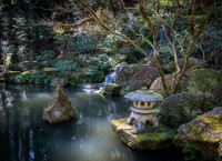 Japanese Garden in Portland