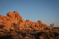 Sunrise at Quail Springs in Joshua Tree National Park