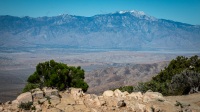 At Keys View in Joshua Tree National Park