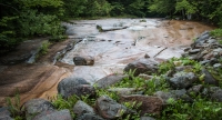 At the Flume in Franconia Notch