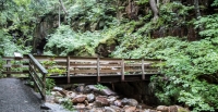 At the Flume in Franconia Notch