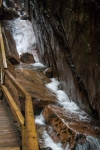 At the Flume in Franconia Notch