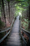 At Lost River Gorge in Woodstock, NH