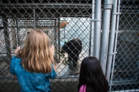 Kyle and Courtney at Clark's Trading Post bear show in Lincoln, NH