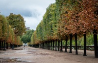 Tulleries Garden in Paris