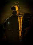 Eiffel Tower at night from Champ du Mars park in Paris