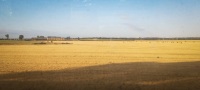 View from train to Normandy