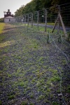 Fence at Buchenwald Concentration Camp Memorial