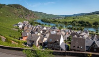 In Ãœrzig along the Mosel