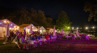 Wine Festival in Bacharach
