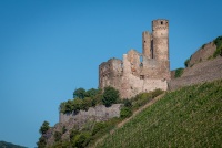 Ehrenfels Castle from Rhine Cruise