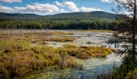 Shaw Pond in Long Lake, NY