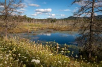 Shaw Pond in Long Lake, NY