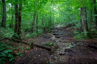 Hiking to Indian Lake in Caroga NY