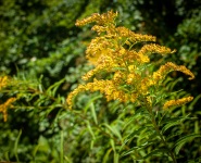 In Camden, Maine