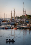 In Camden, Maine