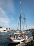 The schooner Appledore in Camden, Maine