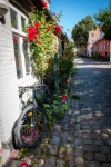Along Møllestien in Aarhus Denmark