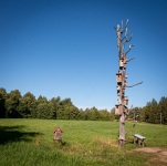 Birdhouses at Pltelių Ežeras in Plateliai Lithuania