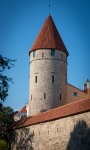 In Tallinn