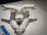 Towel animal on Voyager of the Seas in the Baltic Sea
