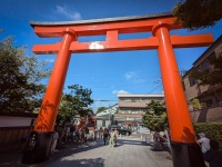 At Fushimi Inari Shrine in Kyoto