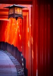 At Fushimi Inari Shrine in Kyoto