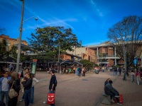 In Zona T in Bogota