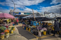 At Paloquemao market in Bogota