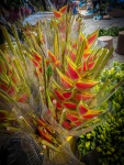 At Paloquemao market in Bogota