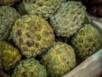 At Paloquemao market in Bogota