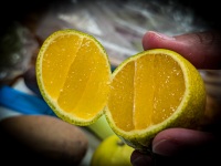 Tasting fruit at Paloquemao market in Bogota