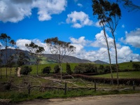 Driving in Sesquile near Lake Guatavita