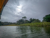 Tour of Monkey Island in Gamboa Panama