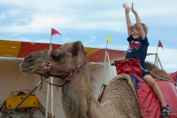 Camel Kyle