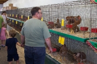 Kyle and Grandpa at the Champlain Expo