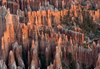 Sunrise at Bryce Point