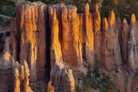 Sunrise at Bryce Point