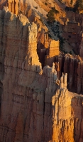 Sunrise at Bryce Point