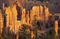 Sunrise at Bryce Point