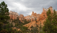 Along the trail to Mossy Cave