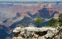 Along the Rim Trail