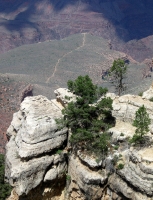 Along the Rim