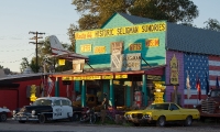 In Seligman
